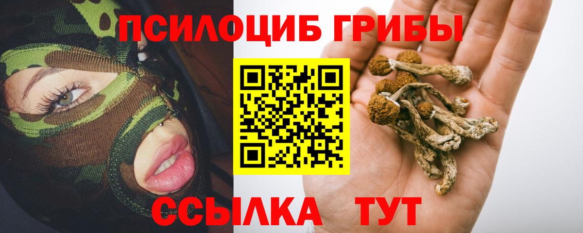 Балабаново  Псилоцибиновые грибы Psilocybine cubensis  Вход с VPN 